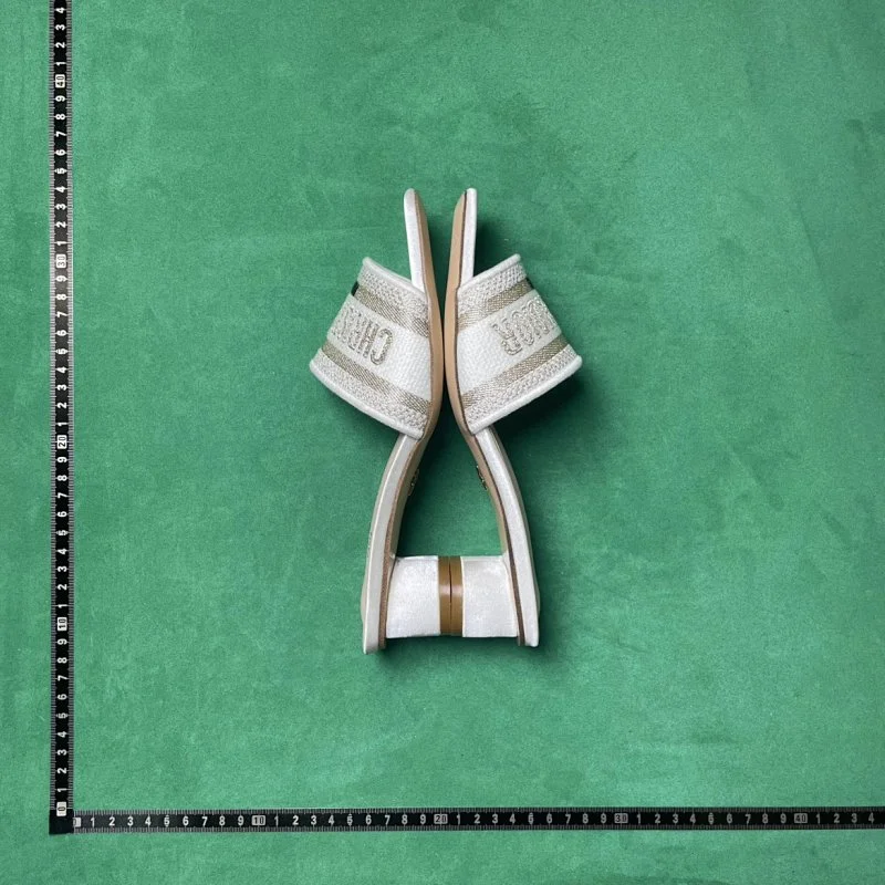 Dior Oblique Slides
