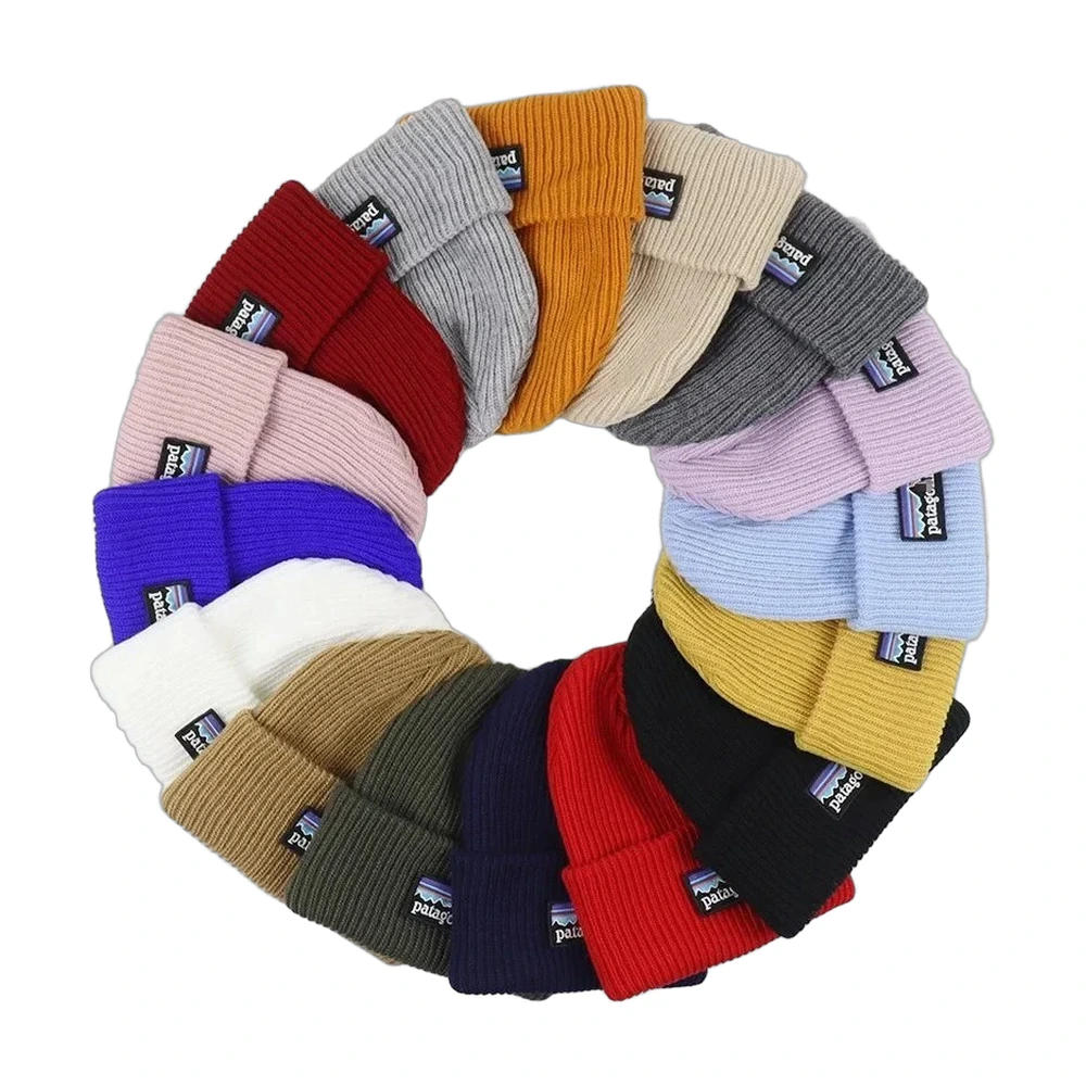 Patagonia Fisherman's Rolled Beanie