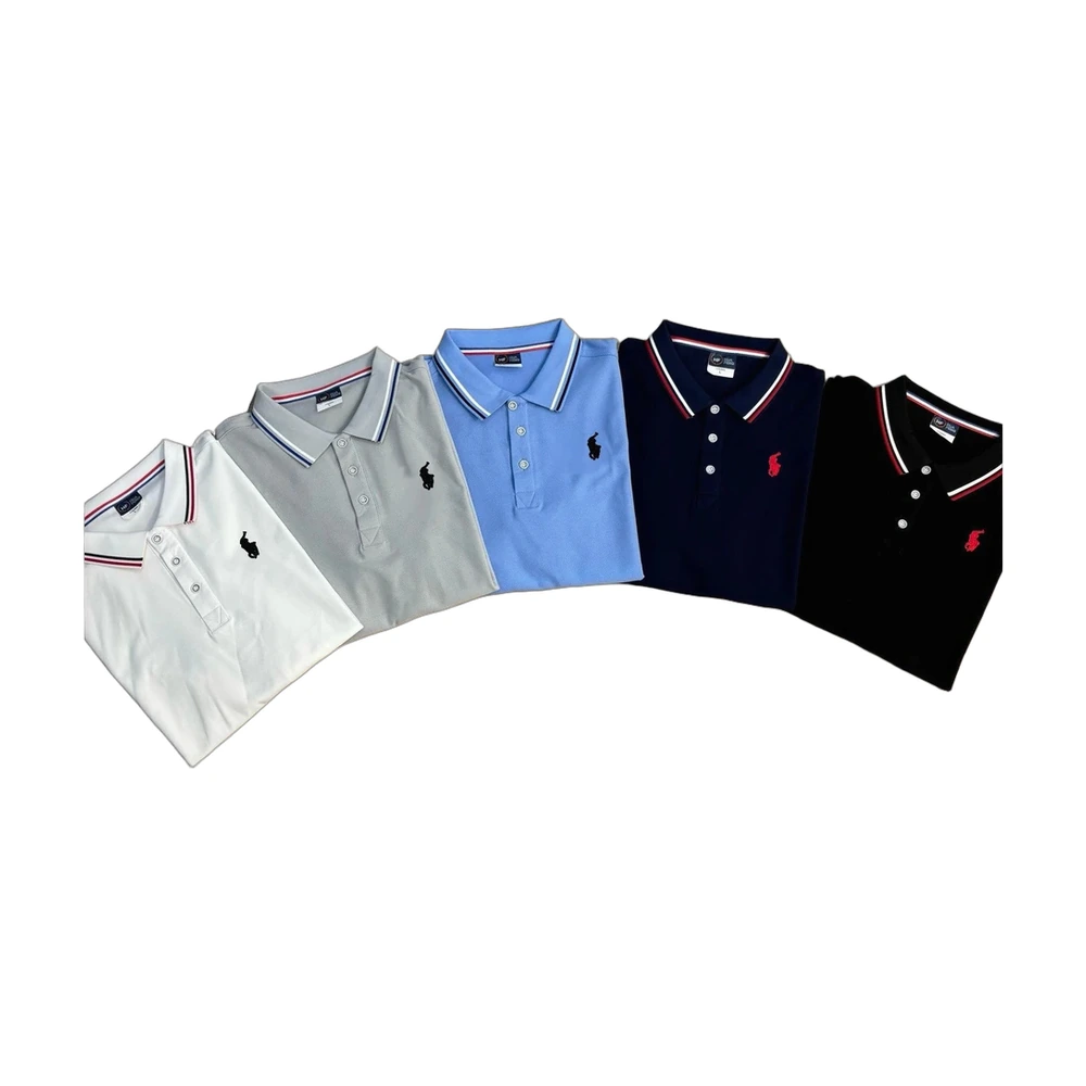 Polo Ralph Lauren Tipped Collar Polo