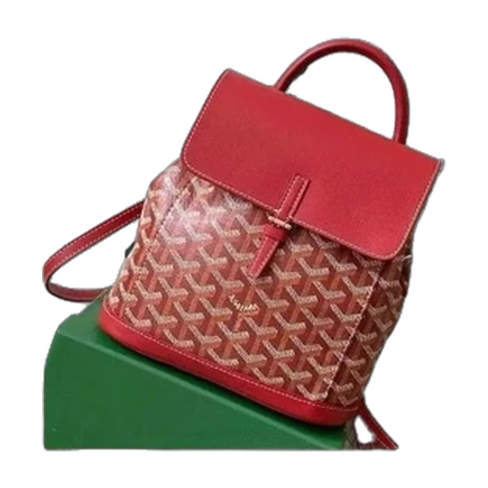 Goyard Saint Louis Tote Bag