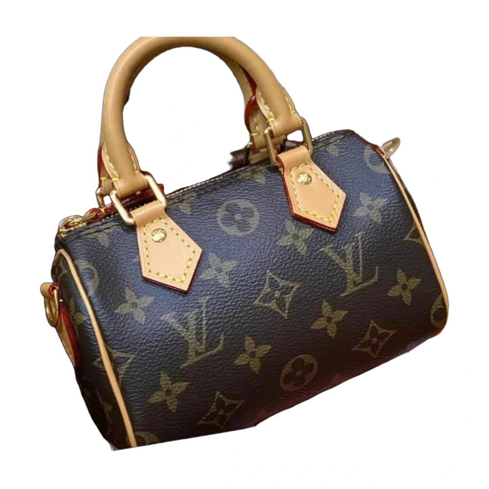 Louis Vuitton Nano Speedy Monogram Bag