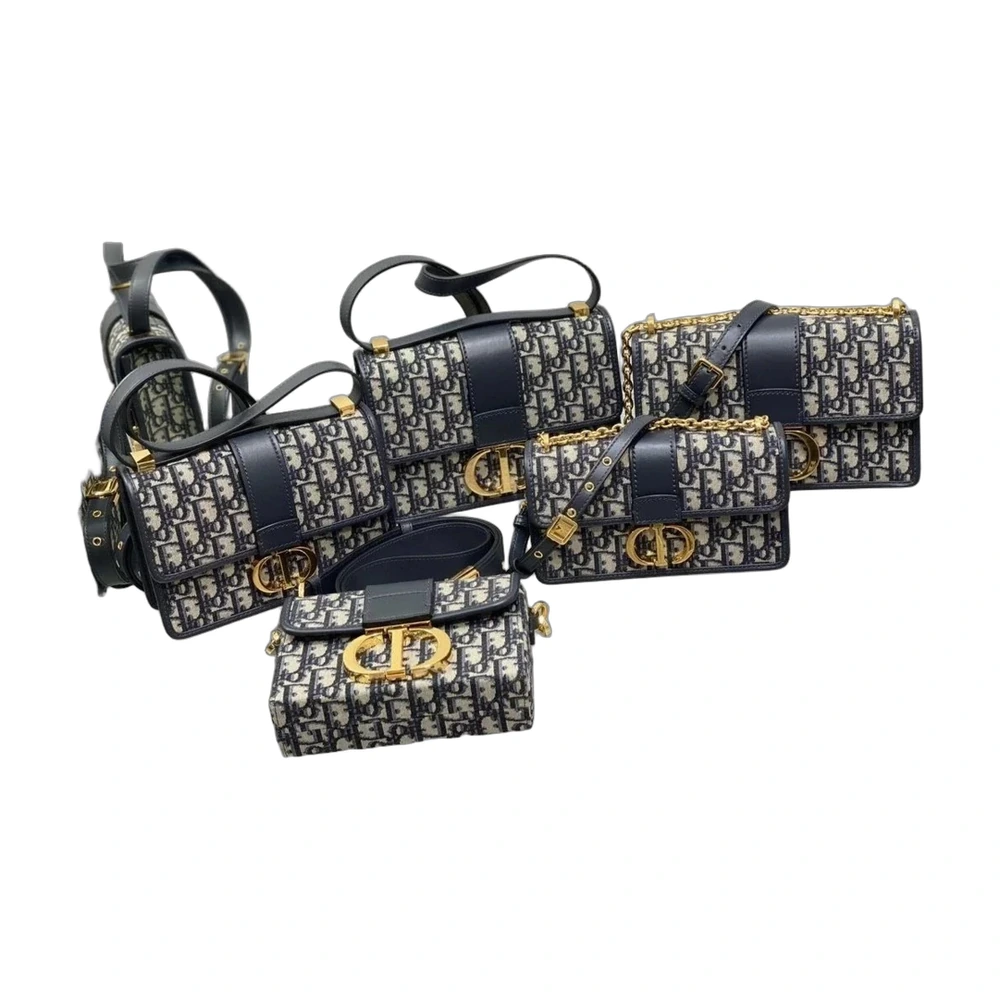 Dior 30 Montaigne Bag Oblique (Multi-Set)