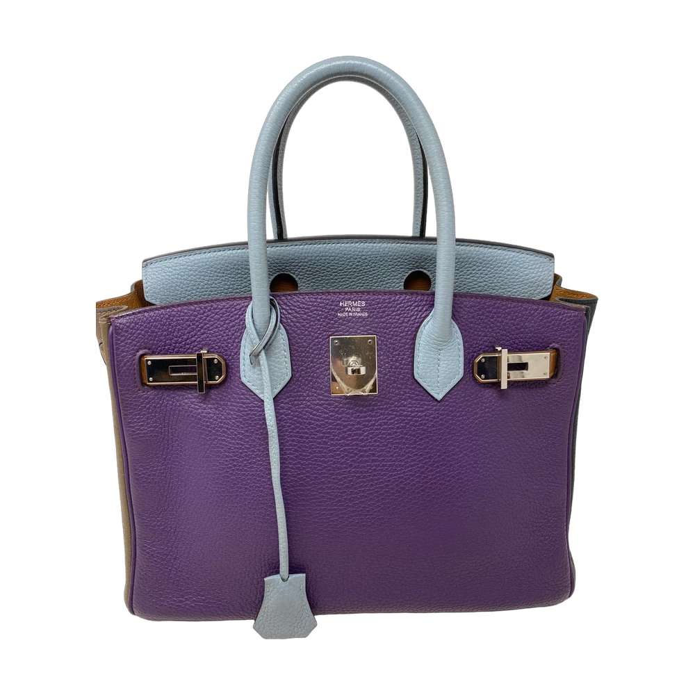 Hermes Birkin Bag Collection (Multi-Color Set)