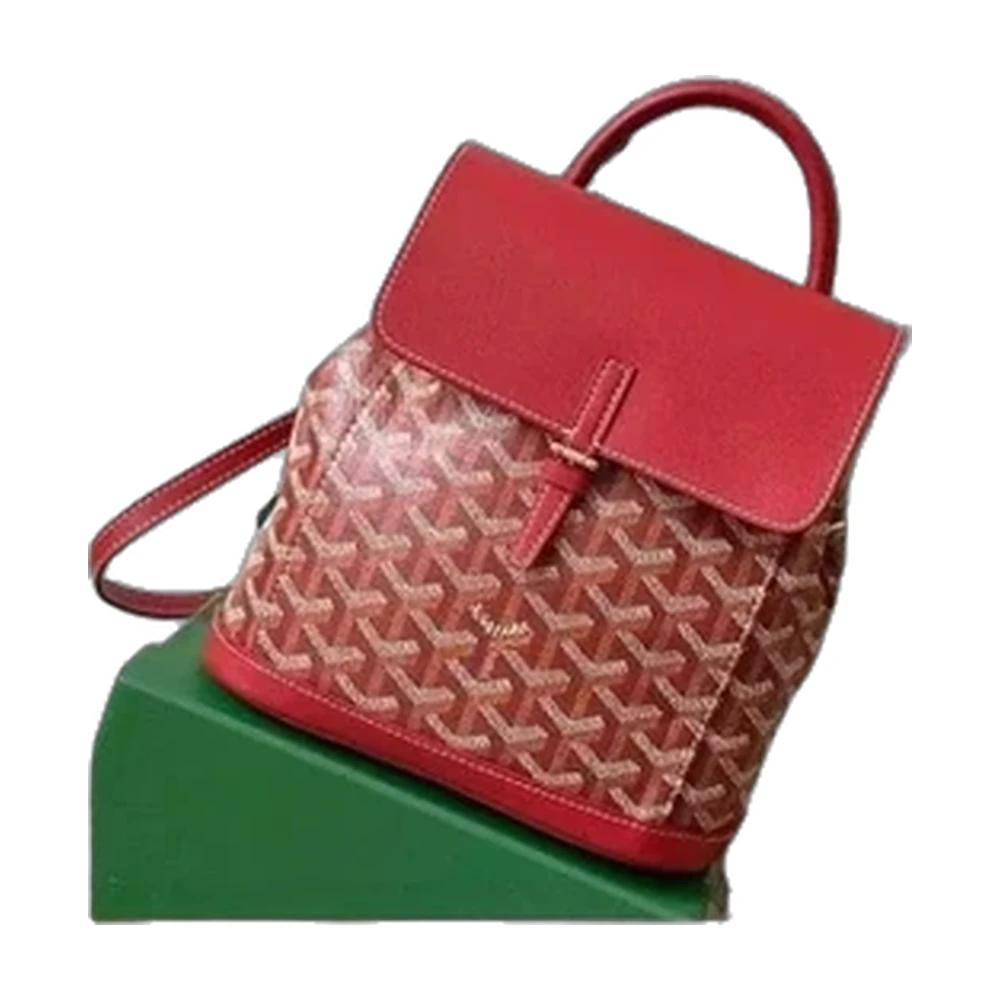 Goyard Saint-Louis Tote Bag