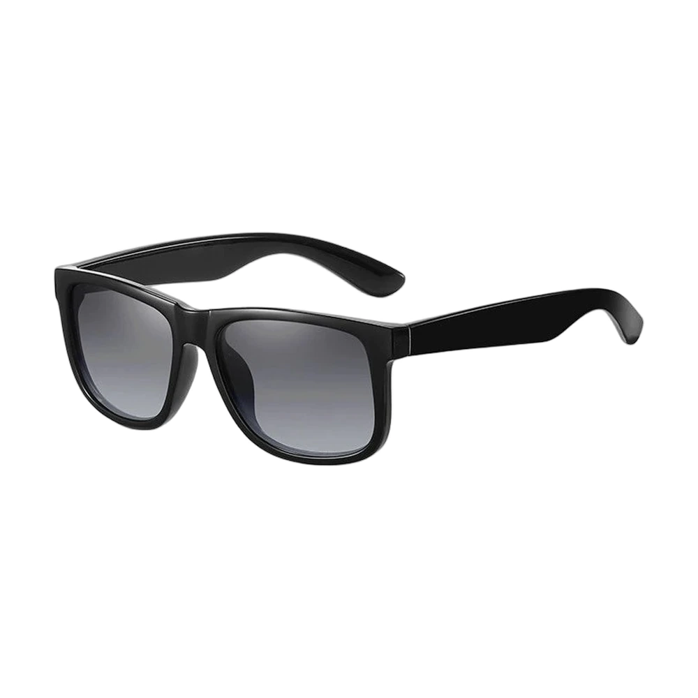 Classic Wayfarer Polarized Sunglasses