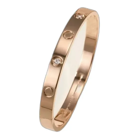 Cartier Titanium Steel Love Bangle