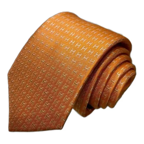 Hermes Silk Tie